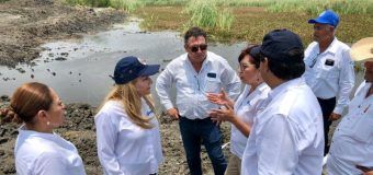 Efectúa Gobierno de Altamira programa de limpieza y mejoramiento urbano