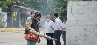 Intensifican esfuerzos Gobierno de Altamira y Secretaría de Salud para evitar proliferación de mosquitos