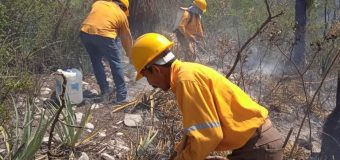 Permanentes acciones de contención y extinción de incendios forestales en Tamaulipas