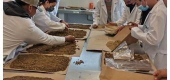Desarrolla la UAT un proyecto para evaluar los residuos contaminantes de agroquímicos en el suelo