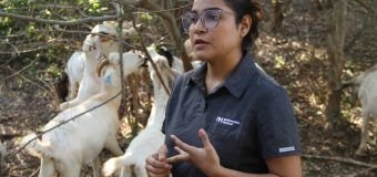 Analiza UAT innovaciones de mejoramiento para la producción caprina