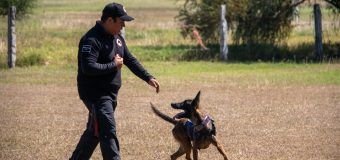 Estudiante de la UAT aporta su experiencia en adiestramiento canino al servicio comunitario