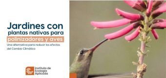 Enseñará la UAT a crear espacios ecológicos para especies polinizadoras