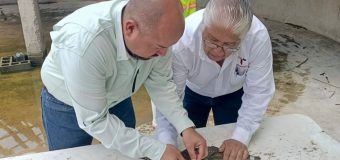 Fortalece Tamaulipas capacitación para manejo de cocodrilos