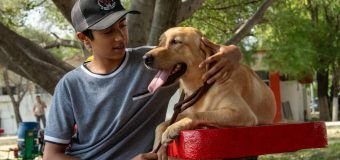 Pondrá la UAT en adopción héroes caninos
