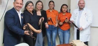 Estudiantes de la UAT refuerzan campaña para elaborar pelucas oncológicas