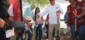 Encabeza Armando Martínez jornada de limpieza y reforestación