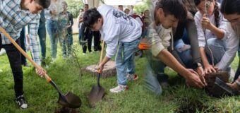 Impulsa la UAT el programa ambiental Jardines de Carrera