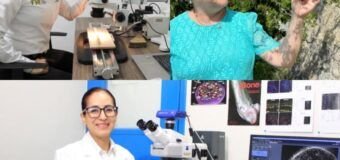 Investigadores de la UAT obtienen certificación nacional