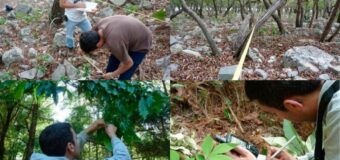 Busca la UAT conservar bosques de encino con tecnología geoespacial
