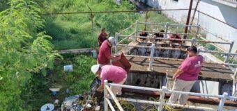 COMAPA Sur refuerza labores de limpieza en cárcamos pluviales para beneficio de la ciudadanía