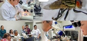 Colabora la UAT en medidas preventivas contra el gusano barrenador