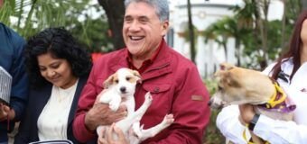 Todo un éxito la Feria de Adopción “ADOPTAFEST” en Altamira