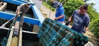 Realiza COMAPA Sur mantenimiento en sedimentadores de la Planta Potabilizadora Laguna de la Puerta