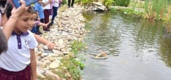 Fortalece DIF Tampico Aprendizaje en sus Centros Educativos con Experiencias Vivenciales