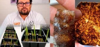 Patenta la UAT bioplásticos que recuperan suelos erosionados