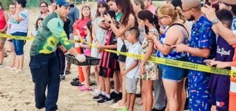 Viven familias la primera liberación pública de tortuga lora en La Pesca
