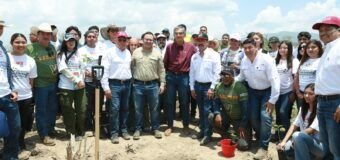 Tamaulipas participa en Jornada Nacional de Reforestación; se plantarán 15 mil árboles: Américo