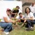 Gobierno de Tampico se suma a Jornada Nacional de Reforestación, más de 18 mil árboles se han sembrado a la fecha